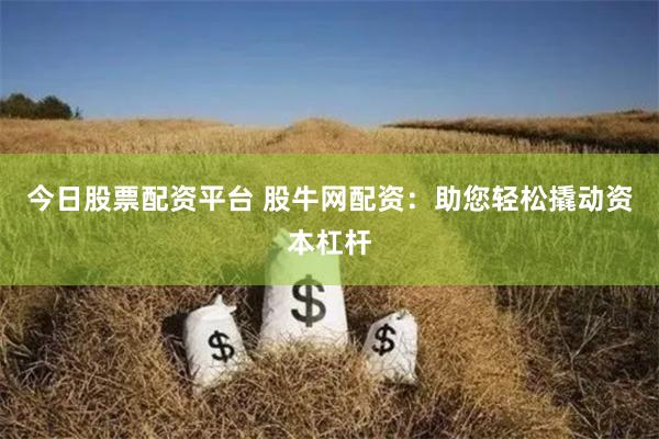 今日股票配资平台 股牛网配资：助您轻松撬动资本杠杆
