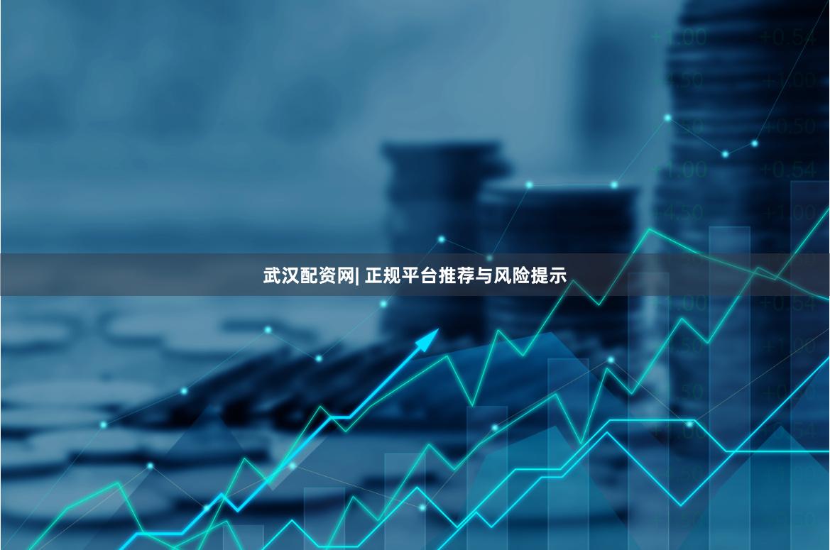 武汉配资网| 正规平台推荐与风险提示